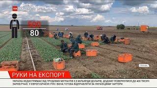 Руки на експорт: попри закриті кордони, українських заробітчан кличуть на роботу до Європи