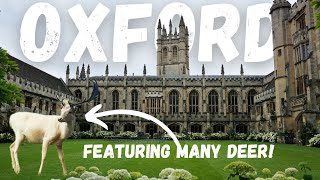 Exploring beautiful Magdalen College in Oxford! Uni + grounds tour 2023 🎓🌼 🦌 by From The Ash 227 views 11 months ago 9 minutes, 7 seconds