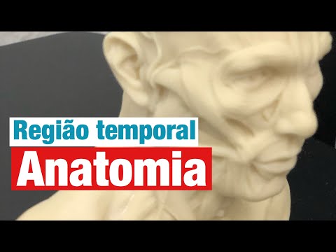 Vídeo: Anatomia, Função E Diagrama Da Artéria Temporal Superficial - Mapas Do Corpo