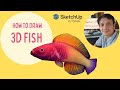 Cara membuat Ikan menggunakan SketchUp