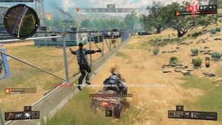 Ragdoll Roadkill