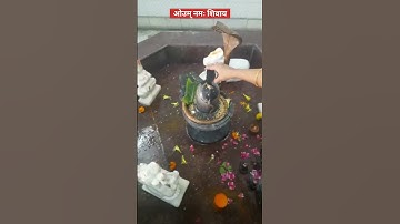 शिवलिंग पर काले तिल अर्पित करने से क्या फल मिलता हैं  #shorts #sawan #shivupay