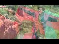 Paravasame Full Song || Seethamma Andalu Ramayya Sitralu Songs || Gopi Sunder Mp3 Song