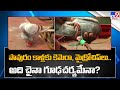 Pigeon with suspicious devices, mysterious message captured off Odisha coast