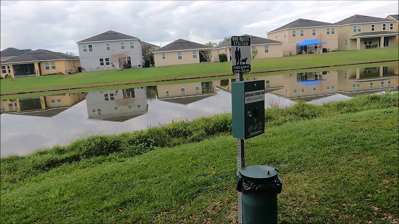 Why I stopped watching Tim Tracker (and all "big" Disney vloggers)