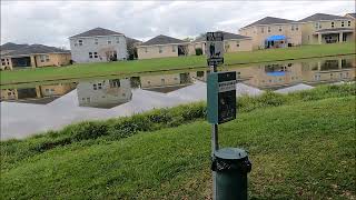 Why I stopped watching Tim Tracker (and all "big" Disney vloggers)