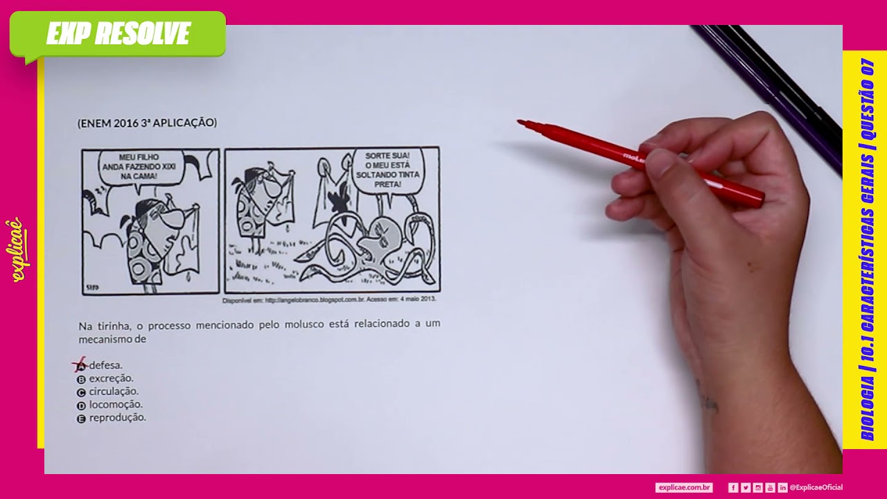 NA TIRINHA, O PROCESSO MENCIONADO PELO MOLUSCO ESTÁ RELACIONADO A UM (...) | GRUPOS VEGETAIS