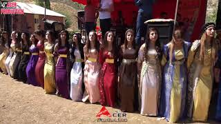 Курдские (Мидяне) свадьбы - Традиционный танец