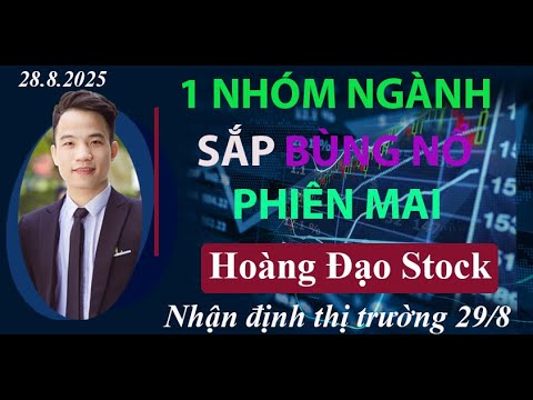 5 Cổ Phiếu HOT Nhất Đừng Bỏ Lỡ Trước Lễ 2/9 Cho Dư Địa Tăng 20-25%!