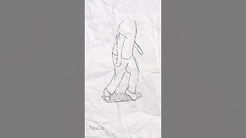 skate rotoscope animation