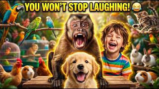 You Won’t Stop Laughing 😂 | Monkey ‘Aaaa’ + Animal Voices Compilation 🐵 screenshot 2