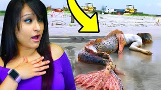 6 YouTubers Who CAUGHT MERMAIDS On CAMERA! (Aphmau, Unspeakable, MrBeast)