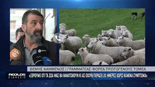 «Ξέρουμε οτι τα ζώα μας θα θανατωθούν κι ας έχουν περάσει 20 μέρες χωρίς κανένα σύμπτωμα»