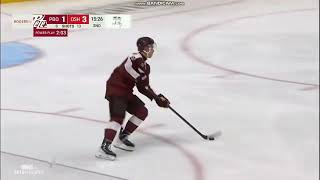 Adam Novotny   Scouting Report