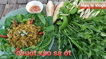 Chuột Xào Sả Ớt- món ăn đậm chất miền quê-hieu le vlogs.