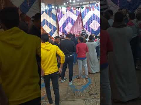 مولد سيدنا النبي عليه الصلاة والسلام في في القليوبيه في قريه كوم اشفين