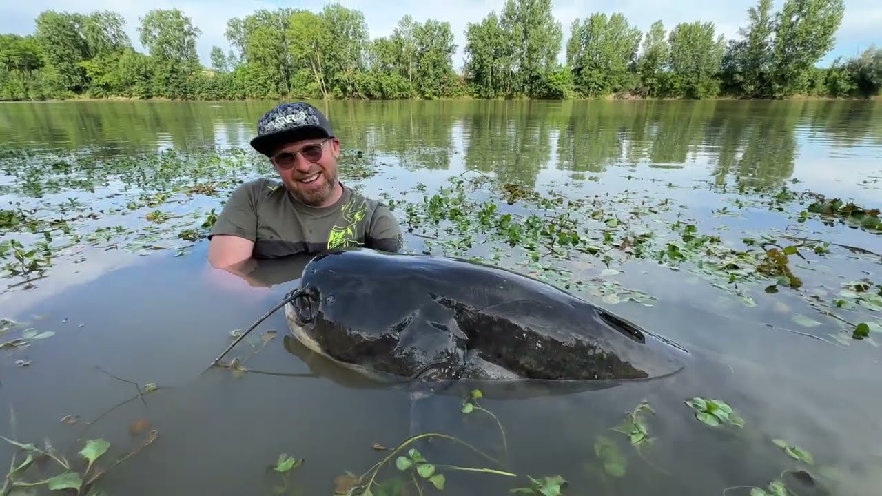 Welsangeln auf Flussmonster mit Angelguide Peter Merkel