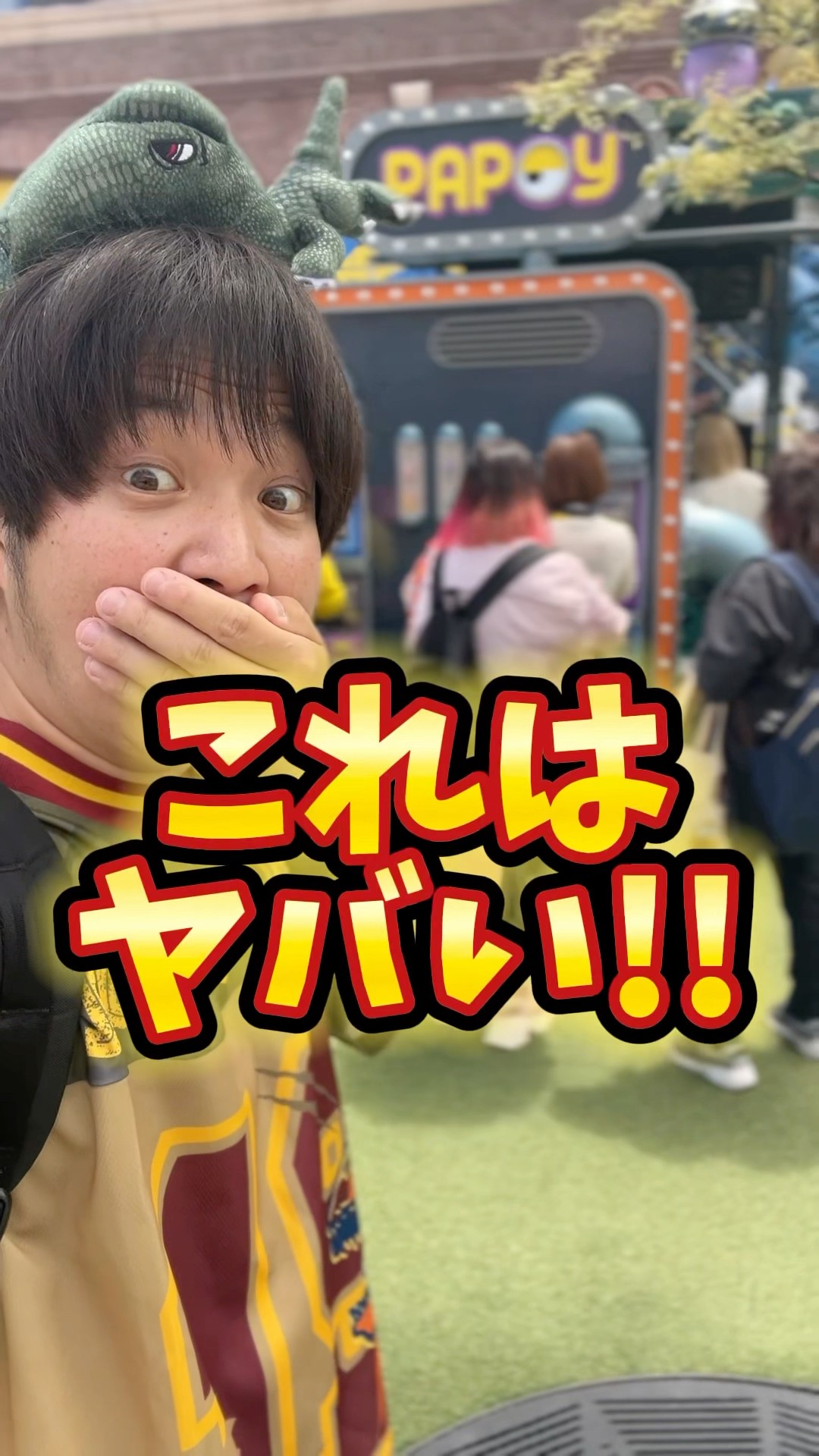 おまめTV🌱/まめちゃん - YouTube