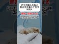 【ナイス】ポケカ購入の為に乳幼児連れて並ぶ外国人を通報 #shorts