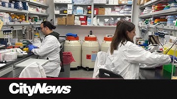 Montreal researchers find promising therapy for inflammatory bowel disease