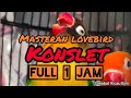 MASTERAN LOVEBIRD KONSLET MINOR FULL 1 JAM (TANPA IKLAN)