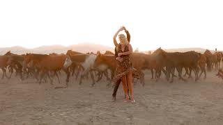 Awesome video wild horses and dancing couple🤩
