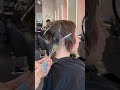 Raccoon tail hair