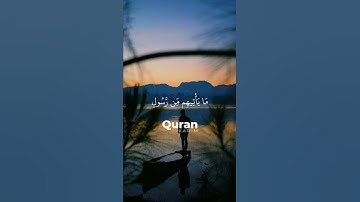 سورة يس | 💚. #اسلام #القرآن_الكريم #ايات_القرآن #المغرب_الجزائر #راحة_نفسية #رحمه_الله