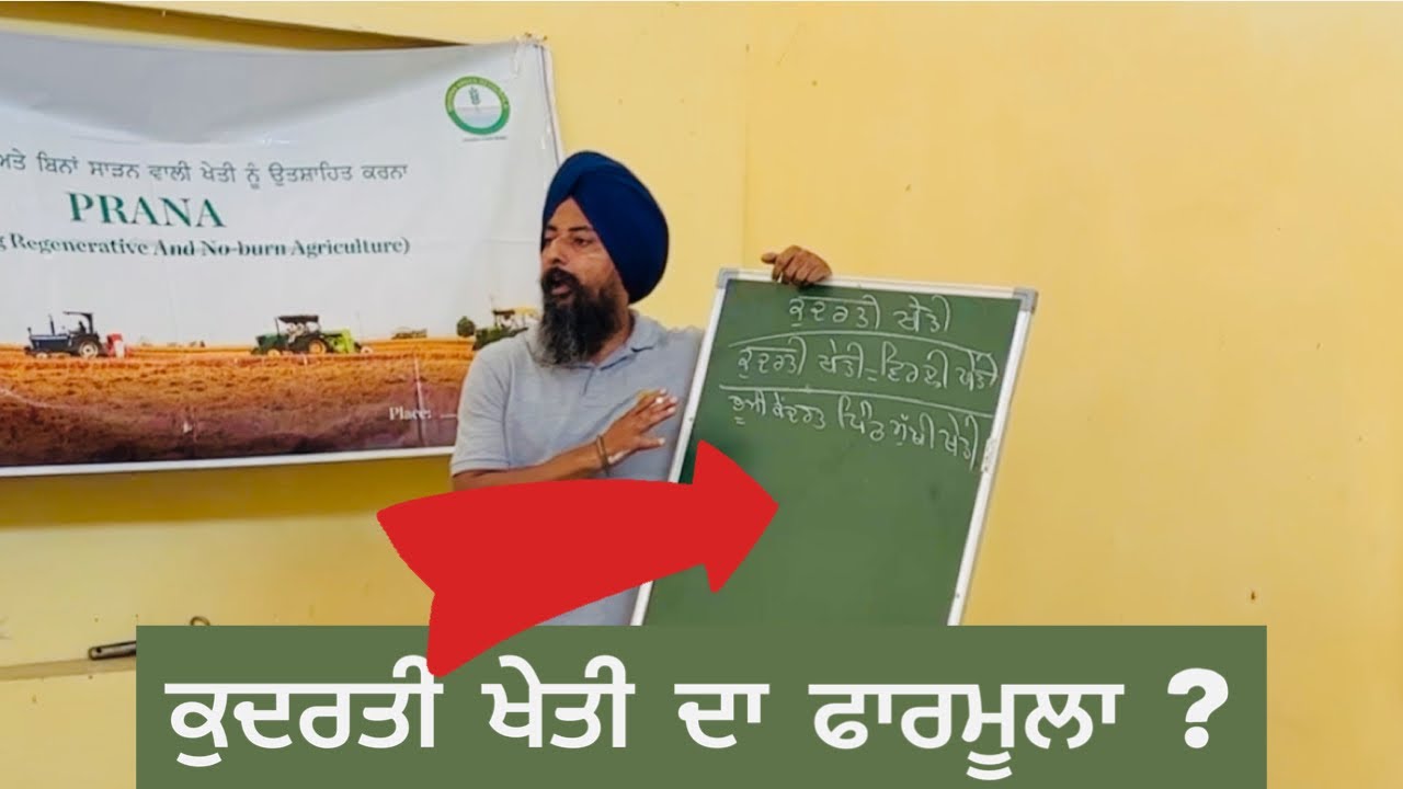 ਕੁਦਰਤੀ ਖੇਤੀ ਦਾ ਫਾਰਮੂਲਾ | gurpreet dabrikhana | natural farming ਕੁਦਰਤੀ ਖੇਤੀ | Amrik Bhaini Jassa