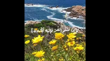 ومابكم من نعمة فمن الله القارئ رعد الكردي 💐🌿