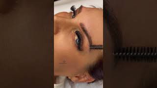 Old brow tattoo corrected with Nanobrows Combo at JD Brows 💕 Soft strokes + shading for a fresh