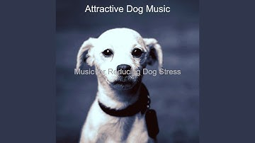 Pulsating Backdrops for Separation Anxiety