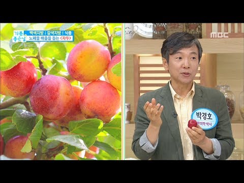 [Happyday]plum 몸속 노폐물 쫙!~ 빼주는 '자두'[  기분 좋은 날] 20180629