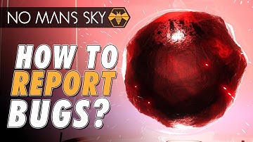 Encountering Bugs in No Man