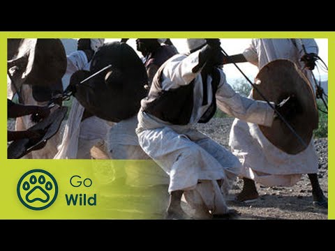 ⁣Sudan: The Nubian Caravans - The Secrets of Nature [2014]