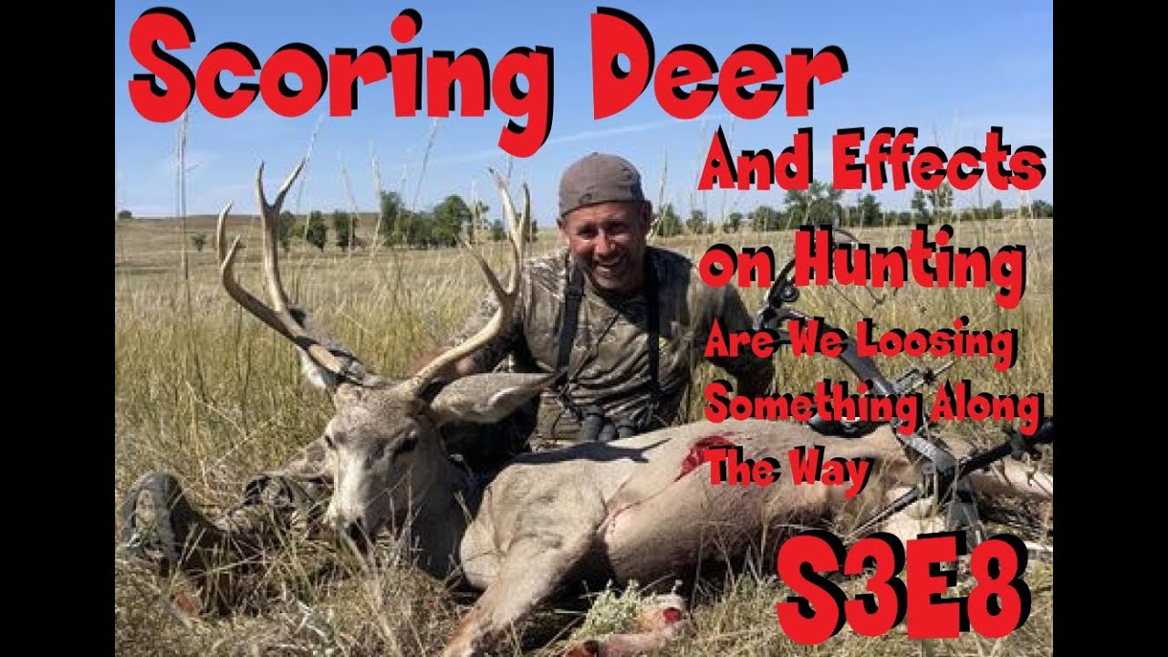 Scoring deer and its effects on the hunting and the industry s3e8 - YouTube