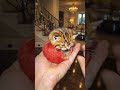 🍅🐱 Tomato Kitten is Ripe and Ready! 😍 #shorts #cats #cute