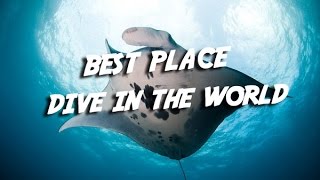 Best Places to Scuba Dive in The World | Visit Indonesia