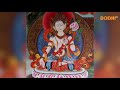 Bodhi tv  buddhist activities  shreedhar rana rimpochhe
