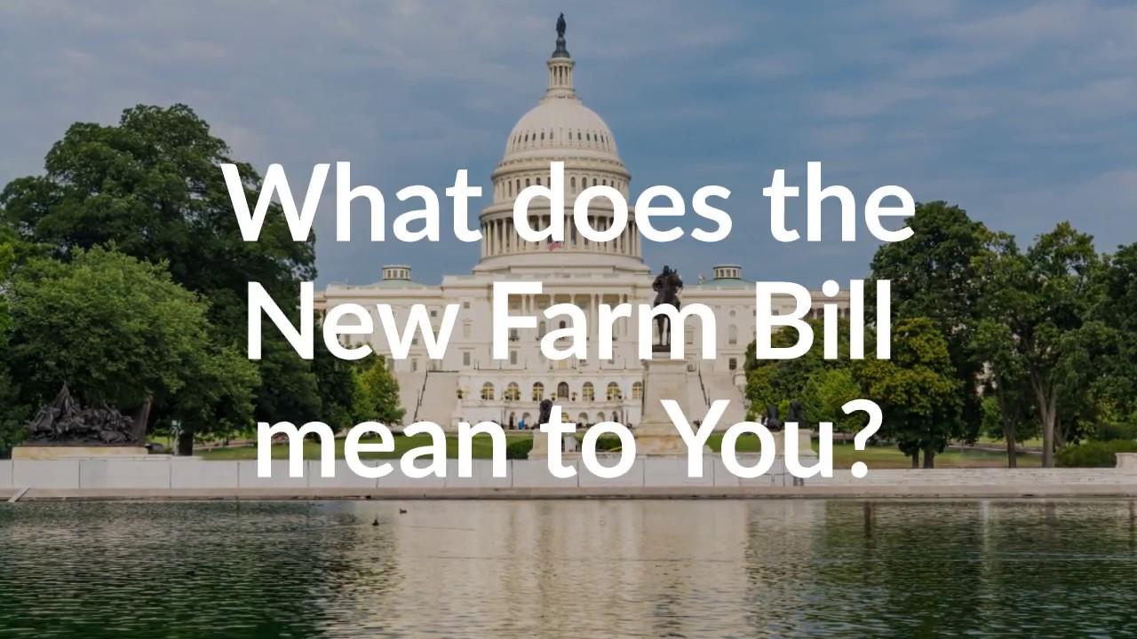What Does the 2018 United States Farm Bill Mean to You, Hemp, and CBD?
