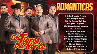 LOS TIGRES DEL NORTE MIX - PURAS PARA PISTEAR MEJORES Y MAS GRANDES EXITOS DE LOS TIGRES DEL NORTE