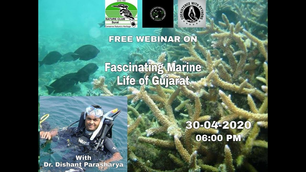 Day: 10 Wildlife Webinar with Dr. Dishant Parasharya ,Scientist,Bombay Natural History Society(BNHS)