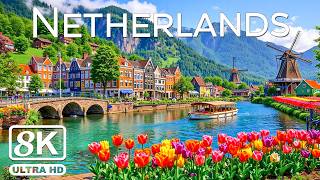 Netherlands 8K 🌷 Amsterdam Canals, Tulip Fields & Iconic Windmill Landscapes | 8K UHD VIDEO screenshot 3