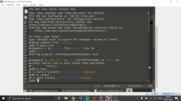 COS 330 - Global Buffer overflow