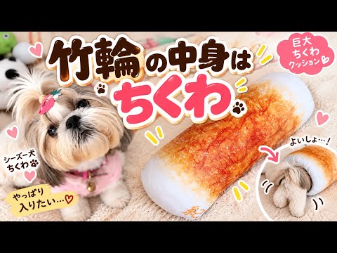 シーズー犬ちくわの田舎暮らし - YouTube