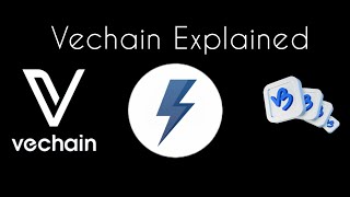 VeChain Explained: Your Simple Vet Crypto Intro