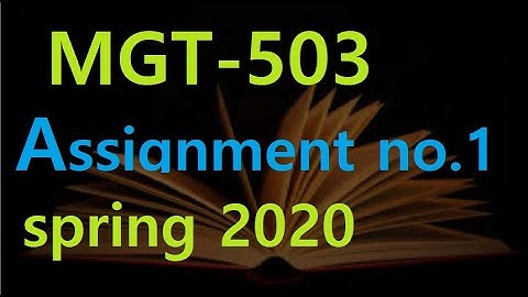 mgt 503 assignment solution