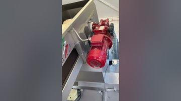 WSET Level 3 Bootcamps & Trips - Napa Valley Wine Academy - Sorting/Destemming - #wset #Shorts