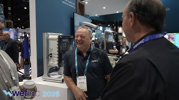 AROUND THE EXHIBITION: Xylem