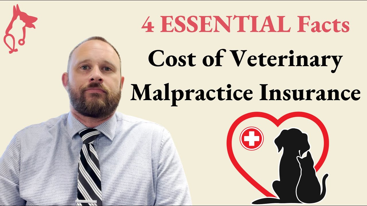 Cost of Veterinary Malpractice Insurance 4 ESSENTIAL Facts YouTube